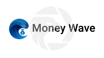 Money Wave Review 2025: Unregulated Forex Trading Risks logo
