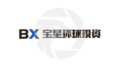 8 Bitnex Review 2025: Unregulated Forex Broker Risks logo