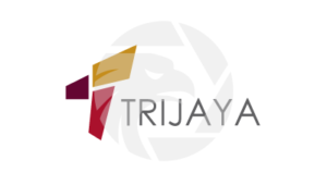 Secure Your TPFx Trading Account: Login Essentials