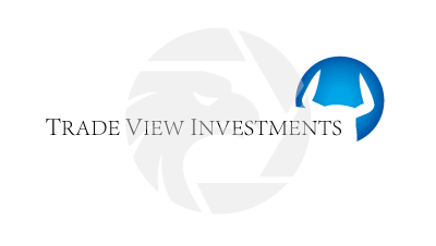 Trade View Review 2025: Regulated Forex Trading Platform logo