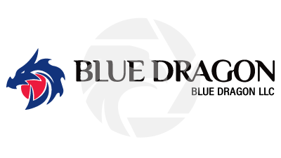Blue Dragon Review 2025: Regulated Forex Trading Insights logo