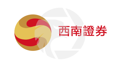 SWSI Review 2025: Uncovering Regulation and Safety Risks logo