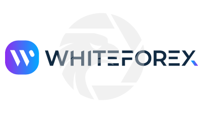 White Forex logo