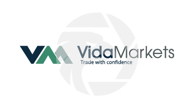 Vida Markets Review 2025: Regulation and Trading Insights logo