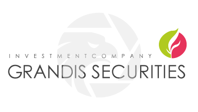 GRANDIS SECURITIES Review 2025: Regulated Forex Broker Insights logo