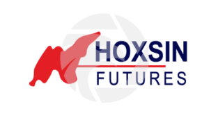 Accessing Hoxsin: Your Login Guide for Trading Success
