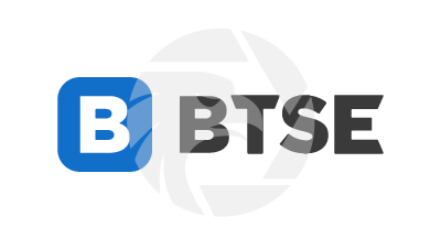 BTSE Review 2025: Unregulated Crypto Trading Insights logo