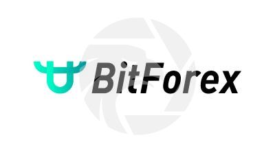 BitForex Review 2025: Unregulated Crypto Trading Insights logo
