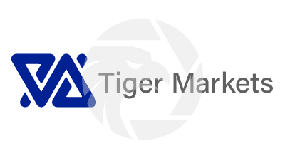 Tiger Markets（test） Review 2025: Regulation & Safety Insights logo