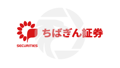 Chibagin Securities Review 2025: Regulated and Safe Trading logo