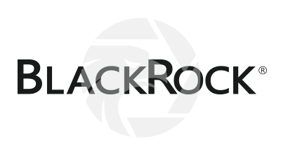 Blackrock Review 2025: Regulated and Safe Trading Solutions logo