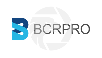 BCRPRO Review 2026: Unregulated Forex Trading Risks