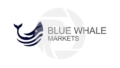 Blue Whale Markets Review 2026: Unregulated Trading Risks