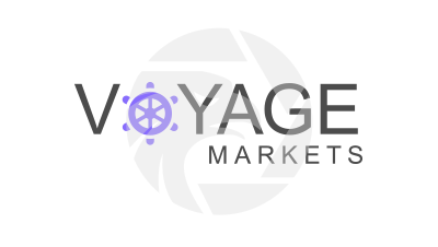 Voyage Markets Review 2026: Unregulated Trading Risks
