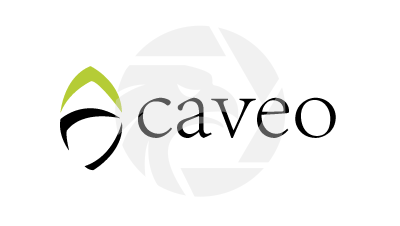 Navigating Your Caveo Login: Secure Access to Trading