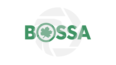 BOSSA Review 2026: Unregulated Forex Trading Insights