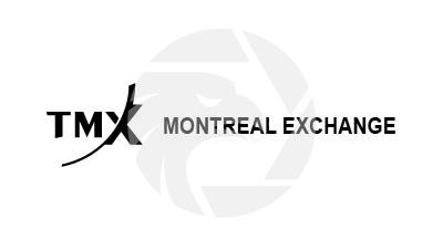 TMX Review 2026: Unregulated Trading Risks and Features