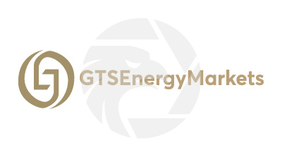 GTSEnergyMarkets Review 2026: Regulated Forex Trading