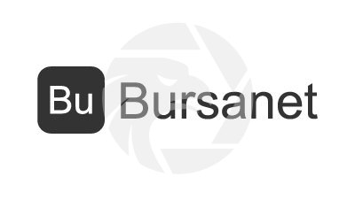 Bursanet Review 2025: Unregulated Trading Platform Insights logo