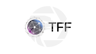 TFF Review 2026: Unregulated Forex Trading Platform Insights