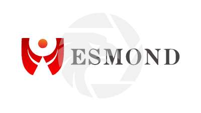 ESMOND Review 2026: Unregulated Forex Trading Risks