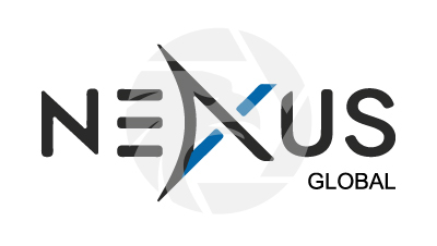 NEXUS GLOBAL logo