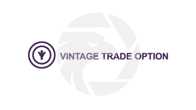 Vintage Trade Option logo